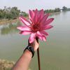jannat_arohi_1