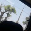 ale_cueva_