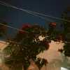 amiraettlh