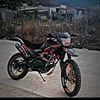 gerardo33398