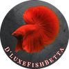 dluxefishbetta