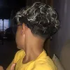 gdias_01