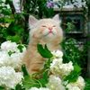 user4931160074156