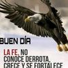 sergioperezperez6