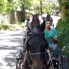 gacho786