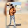 feras_alagory