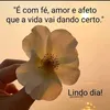 avacats_123