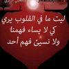 ahmedlahmar61