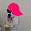 bruce_leefoca