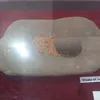medchakour8