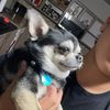 anthonyjr25628