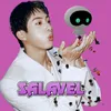 sallavel