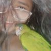 alitadepollo_eg