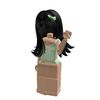 r0bloxst0rytimes