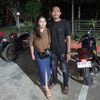 imel_295