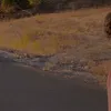 jrjdidjdjsjdjdjjd