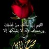 ali20602f1n