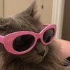 jesse_delman