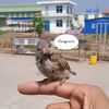 oo.htet.wai5