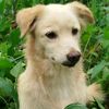 sima_budha_magar77