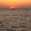 lovefishing33