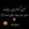 usmanranjhaiwala3