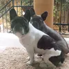 ninoematilda
