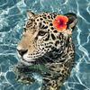 privatee_2937