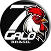 7galobrasil