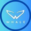 Teamwhalepanama