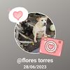 flores.torres28