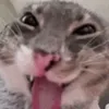 maybeitslory