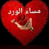 user24140479151804