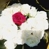 monica_moh1