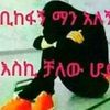 sma.belewu