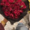 rano.ka8