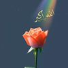 user2197827900278