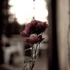 usernamenotavailable034
