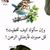 user58869734225187