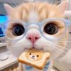fullsunchocholate_