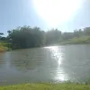 dhones009