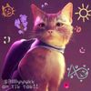 stray.._love