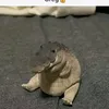 xd_pol4rs