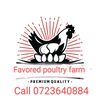 favoredpoultryfarm01