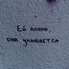 kotik.171