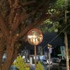 fandi_fun03