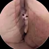 jonaldmalazzab3