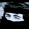 81286019mohamadd