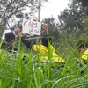 lthainguyen_tuongvy