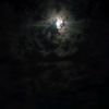 user5305063151141